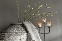 Burnet Spray groen